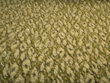 Шерсть "Фукро"